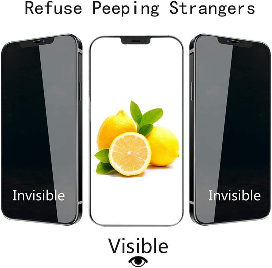 [2+2 Pack] Iphone 12 Pro Max Privacy Screen Protector with Camera Lens Protector Full Coverage Anti-Spy Tempered Glass Film 9H Hardness Upgrade Edge Protection Easy Installation Bubble Free